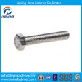 Auf Lager Stainless Steel Hex Tap Schrauben